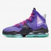 Γυναικεία Nike LeBron 19 “Purple Teal” Men's Basketball Shoes WILD BERRY/HYPER PINK-CAVE PURPLE